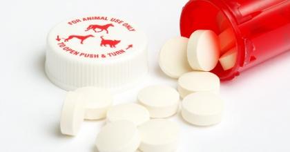 Veterinary meds hot sale online